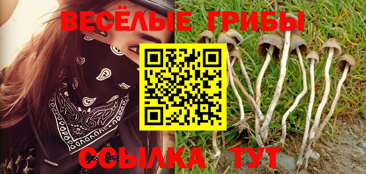 Заводоуковск  Галлюциногенные грибы Magic Shrooms  Вход с VPN  Галлюциногенные грибы Psilocybe 