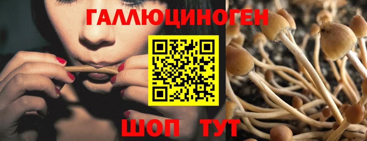 Псилоцибиновые грибы ЛСД Заводоуковск
